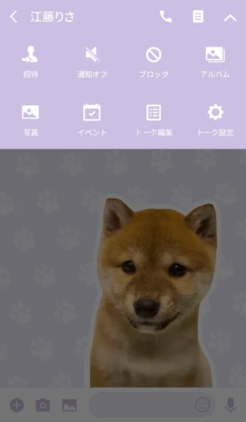 [LINE着せ替え] しばいぬハナコ【柴犬写真*a39】の画像4