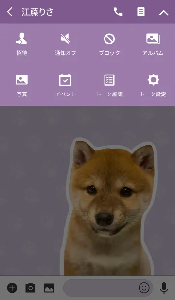 [LINE着せ替え] しばいぬハナコ【柴犬写真*a40】の画像4