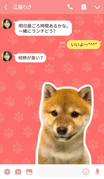 [LINE着せ替え] しばいぬハナコ【柴犬写真*a41】の画像3