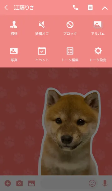 [LINE着せ替え] しばいぬハナコ【柴犬写真*a41】の画像4