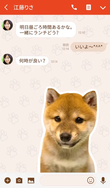 [LINE着せ替え] しばいぬハナコ【柴犬写真*a42】の画像3