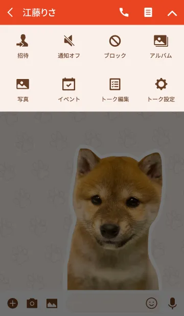 [LINE着せ替え] しばいぬハナコ【柴犬写真*a42】の画像4