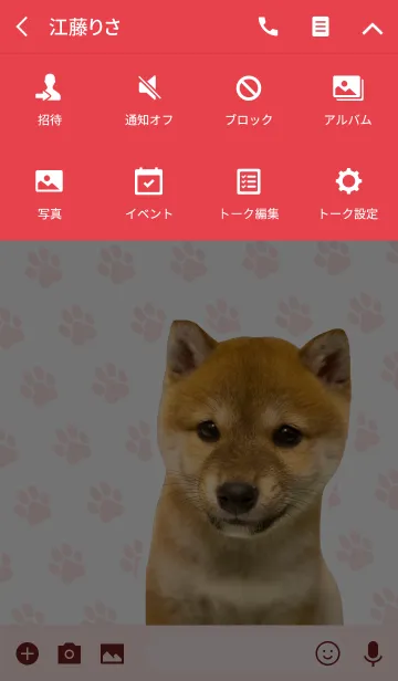 [LINE着せ替え] しばいぬハナコ【柴犬写真*a43】の画像4