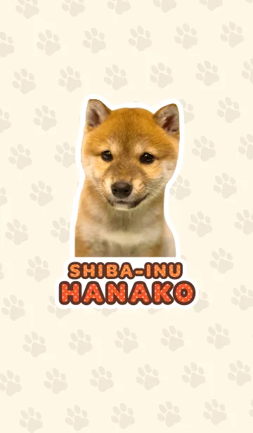 [LINE着せ替え] しばいぬハナコ【柴犬写真*a45】の画像1