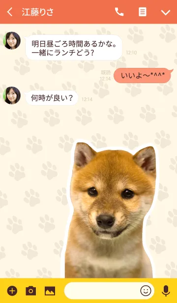[LINE着せ替え] しばいぬハナコ【柴犬写真*a45】の画像3