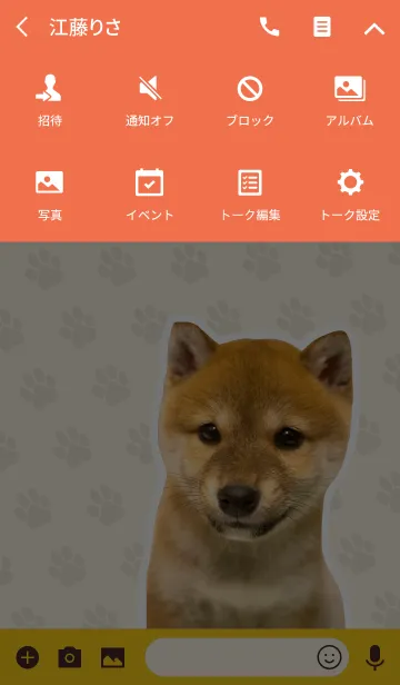 [LINE着せ替え] しばいぬハナコ【柴犬写真*a45】の画像4