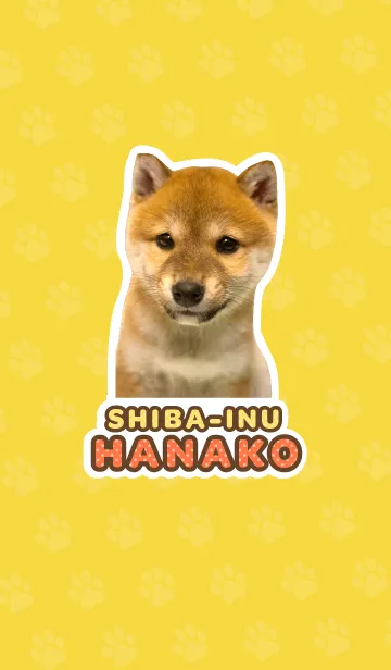 [LINE着せ替え] しばいぬハナコ【柴犬写真*a46】の画像1