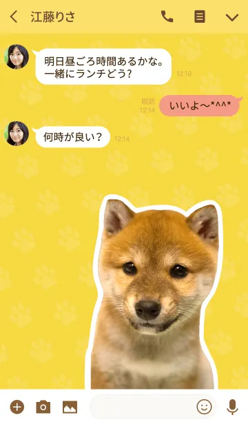 [LINE着せ替え] しばいぬハナコ【柴犬写真*a46】の画像3