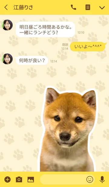 [LINE着せ替え] しばいぬハナコ【柴犬写真*a47】の画像3