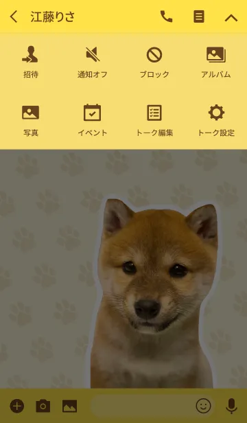 [LINE着せ替え] しばいぬハナコ【柴犬写真*a47】の画像4