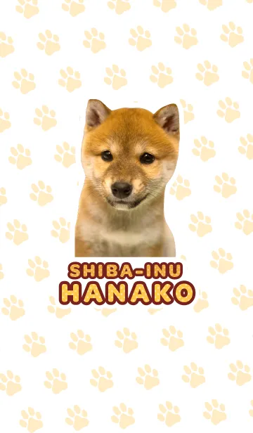 しばいぬハナコ【柴犬写真*a48】の着せ替えメイン画像