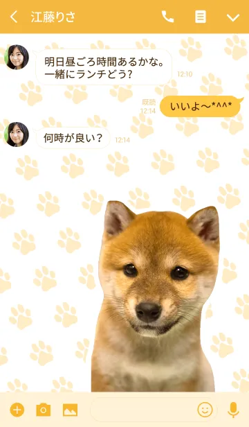 [LINE着せ替え] しばいぬハナコ【柴犬写真*a48】の画像3