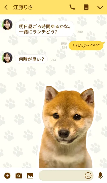 [LINE着せ替え] しばいぬハナコ【柴犬写真*a49】の画像3