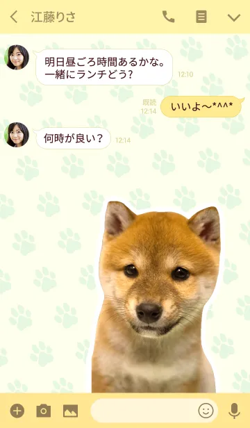 [LINE着せ替え] しばいぬハナコ【柴犬写真*a50】の画像3