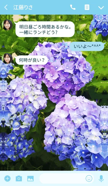 [LINE着せ替え] 紫陽花の花の画像3