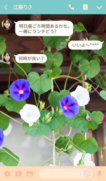 [LINE着せ替え] アサガオ ver.2の画像3