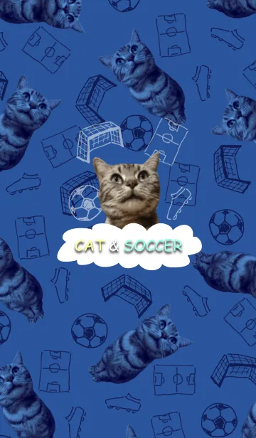 [LINE着せ替え] 猫＆サッカーの画像1