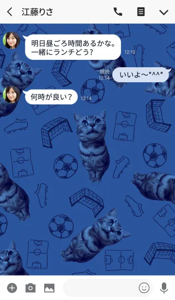 [LINE着せ替え] 猫＆サッカーの画像3