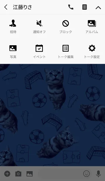 [LINE着せ替え] 猫＆サッカーの画像4