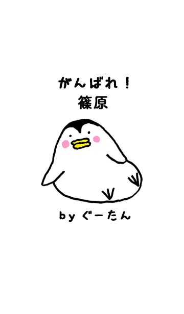 [LINE着せ替え] 「篠原」専用着せかえ by ぐーたんの画像1