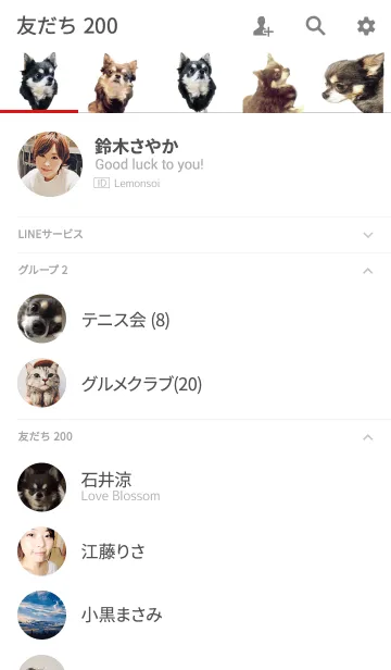 [LINE着せ替え] リアルDOG チワワのROKUの画像2