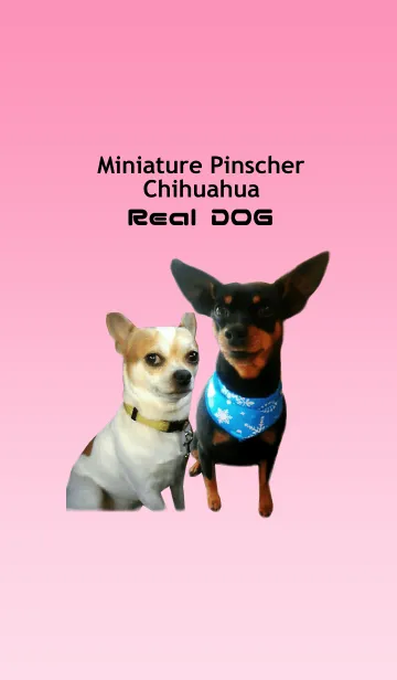 [LINE着せ替え] リアルDOG童顔セナとツンデレ愛ルの画像1