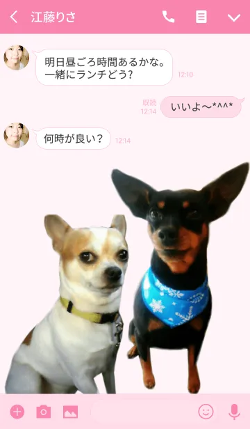 [LINE着せ替え] リアルDOG童顔セナとツンデレ愛ルの画像3