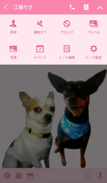 [LINE着せ替え] リアルDOG童顔セナとツンデレ愛ルの画像4