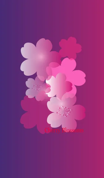 [LINE着せ替え] Cherry Blossoms full bloom in gradationの画像1