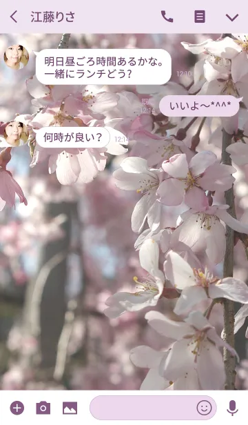 [LINE着せ替え] 枝垂桜の画像3