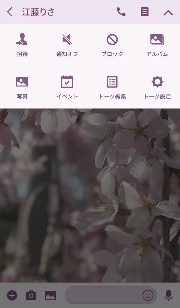 [LINE着せ替え] 枝垂桜の画像4
