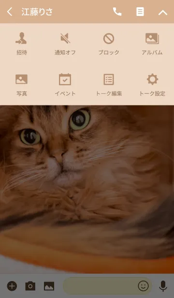 [LINE着せ替え] Cat-My Home-Ver.2の画像4
