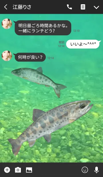[LINE着せ替え] 清流の女王 山女魚の画像3