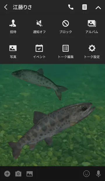 [LINE着せ替え] 清流の女王 山女魚の画像4