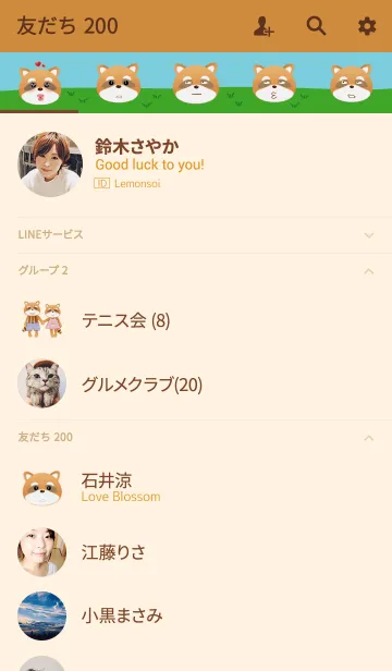 [LINE着せ替え] The funny raccoonの画像2