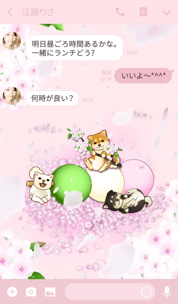 [LINE着せ替え] 花よりわんこ2（柴犬、桜、団子、春）の画像3