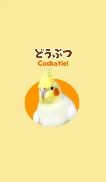 どうぶつ Cockatielの着せ替えメイン画像