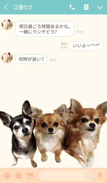 [LINE着せ替え] リアルDOG チワワの仲良し三兄妹の画像3