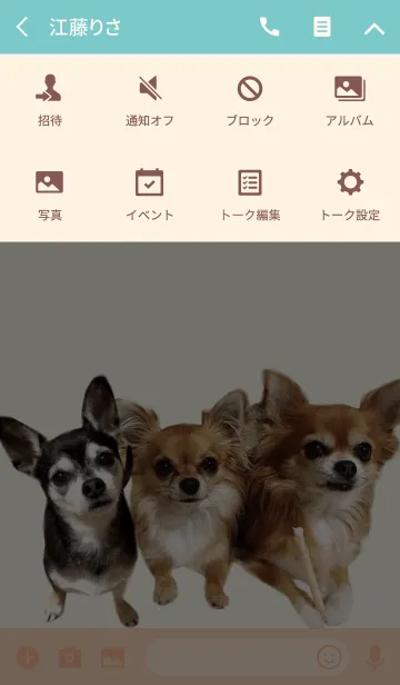 [LINE着せ替え] リアルDOG チワワの仲良し三兄妹の画像4