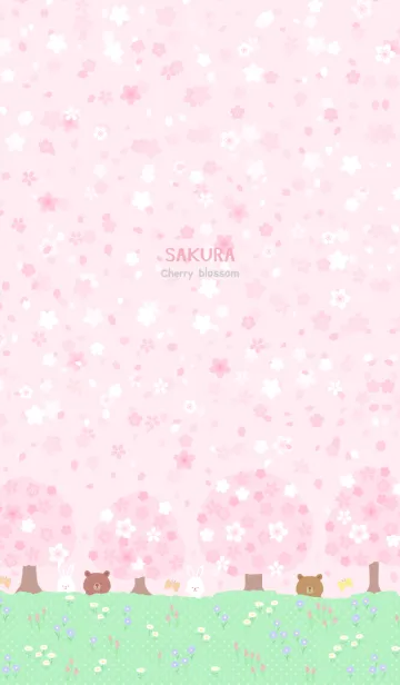 [LINE着せ替え] 桜の花いっぱいの画像1
