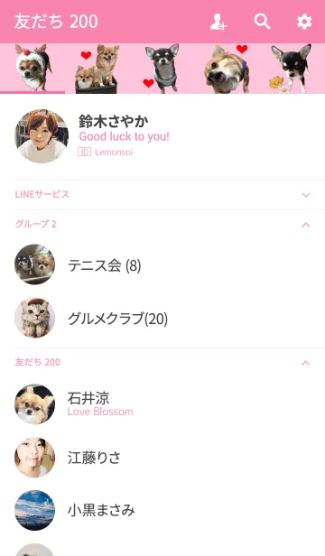 [LINE着せ替え] リアルDOG チワワの梅子と花子と蘭子の画像2