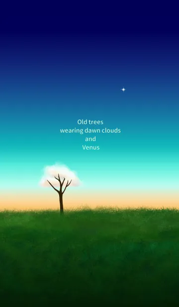 Old trees wearing dawn clouds and Venusの着せ替えメイン画像