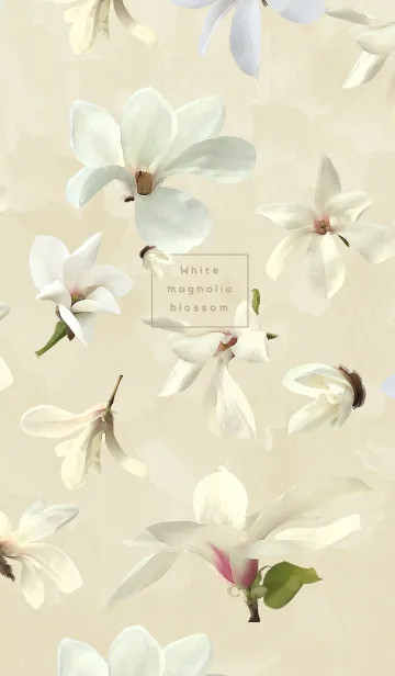 [LINE着せ替え] White magnolia blossom ~白木蓮~の画像1