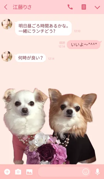[LINE着せ替え] リアルDOG チワワ♥ふうりん♥の画像3