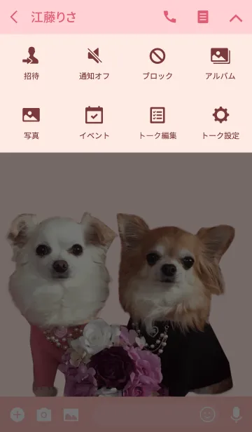 [LINE着せ替え] リアルDOG チワワ♥ふうりん♥の画像4