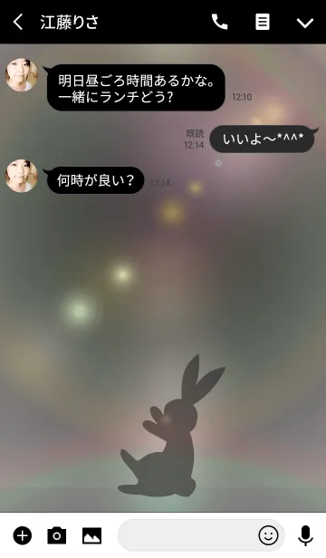 [LINE着せ替え] Rabbit and Moonlight 3の画像3