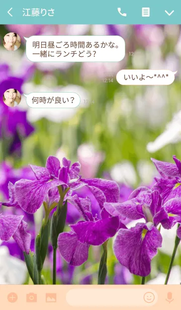 [LINE着せ替え] あやめ ver.2の画像3