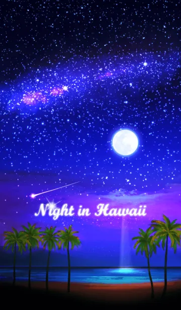 [LINE着せ替え] ハワイの夜の画像1