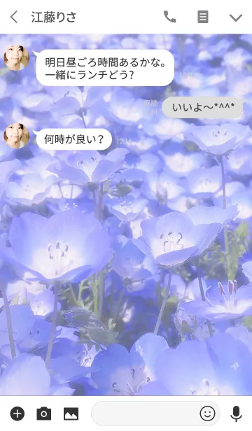 [LINE着せ替え] .-*nemophila*-.の画像3