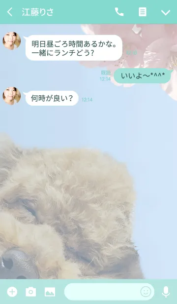 [LINE着せ替え] SAKURAわんこの画像3